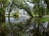 Naturnahe Flussauen sind die artenreichsten Lebensräume Mitteleuropas.